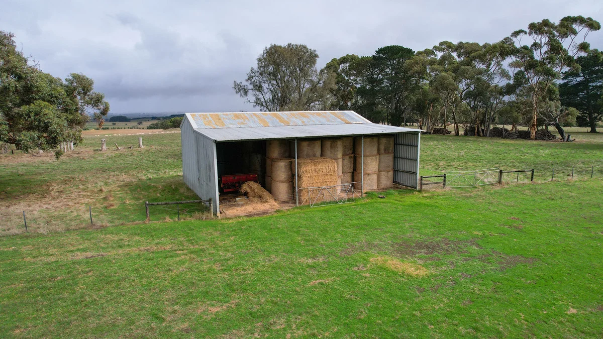 Image 15