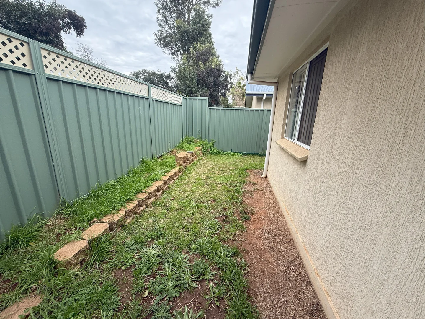 Image 12