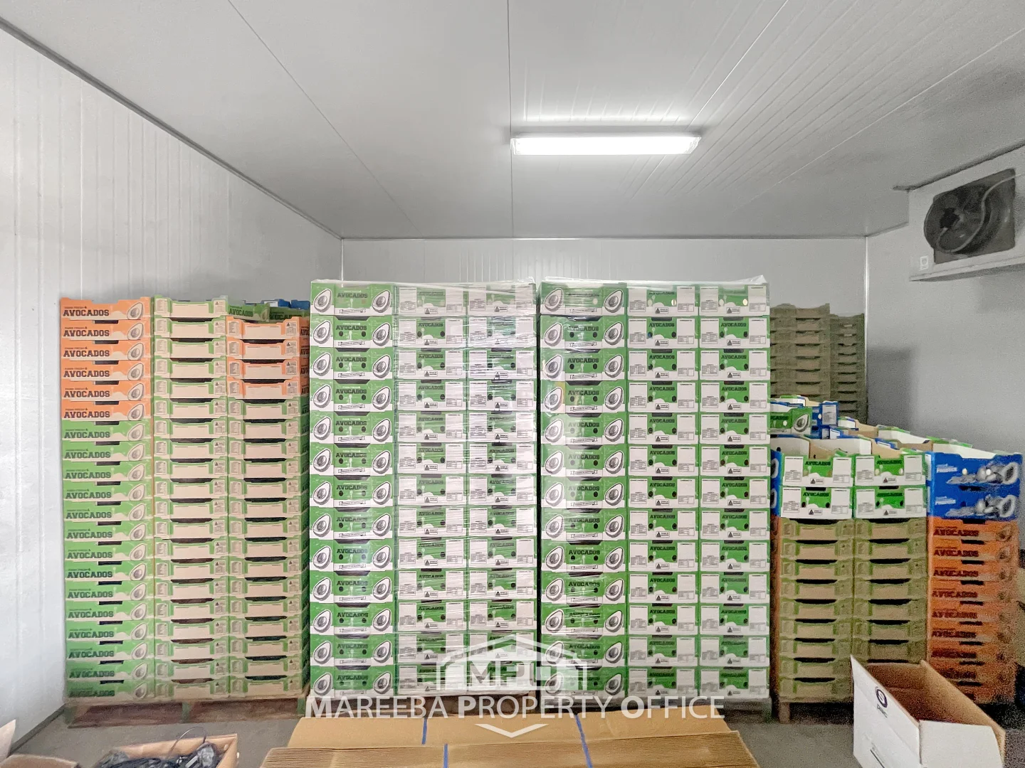 Additional image 8 of 44 Carman Road, Paddy's Green, Mareeba QLD 4880