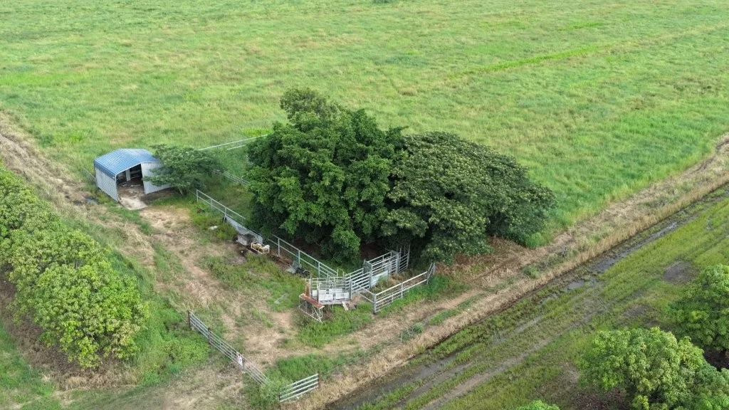 Additional image 34 of 3 Comiskey Road, Giru QLD 4809