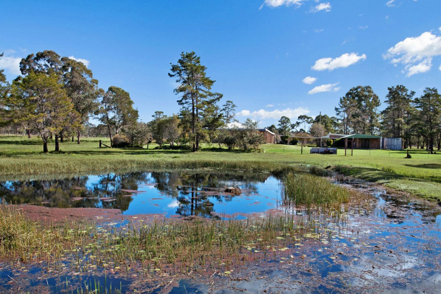 88 Wallarobba-Brookfield Road, Brookfield NSW 2420, Image 0