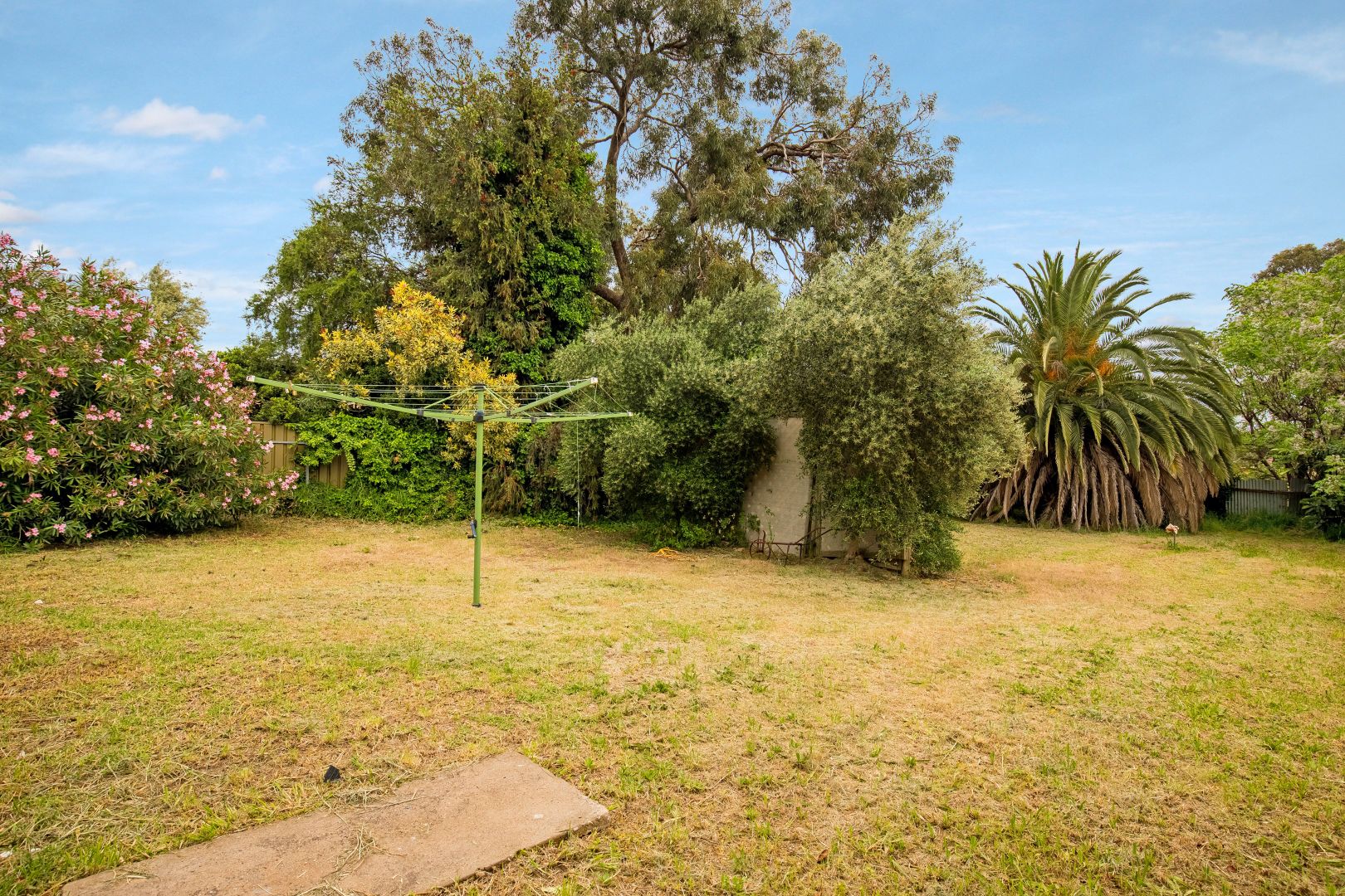 6 Alexandra Avenue, Magill SA 5072, Image 1