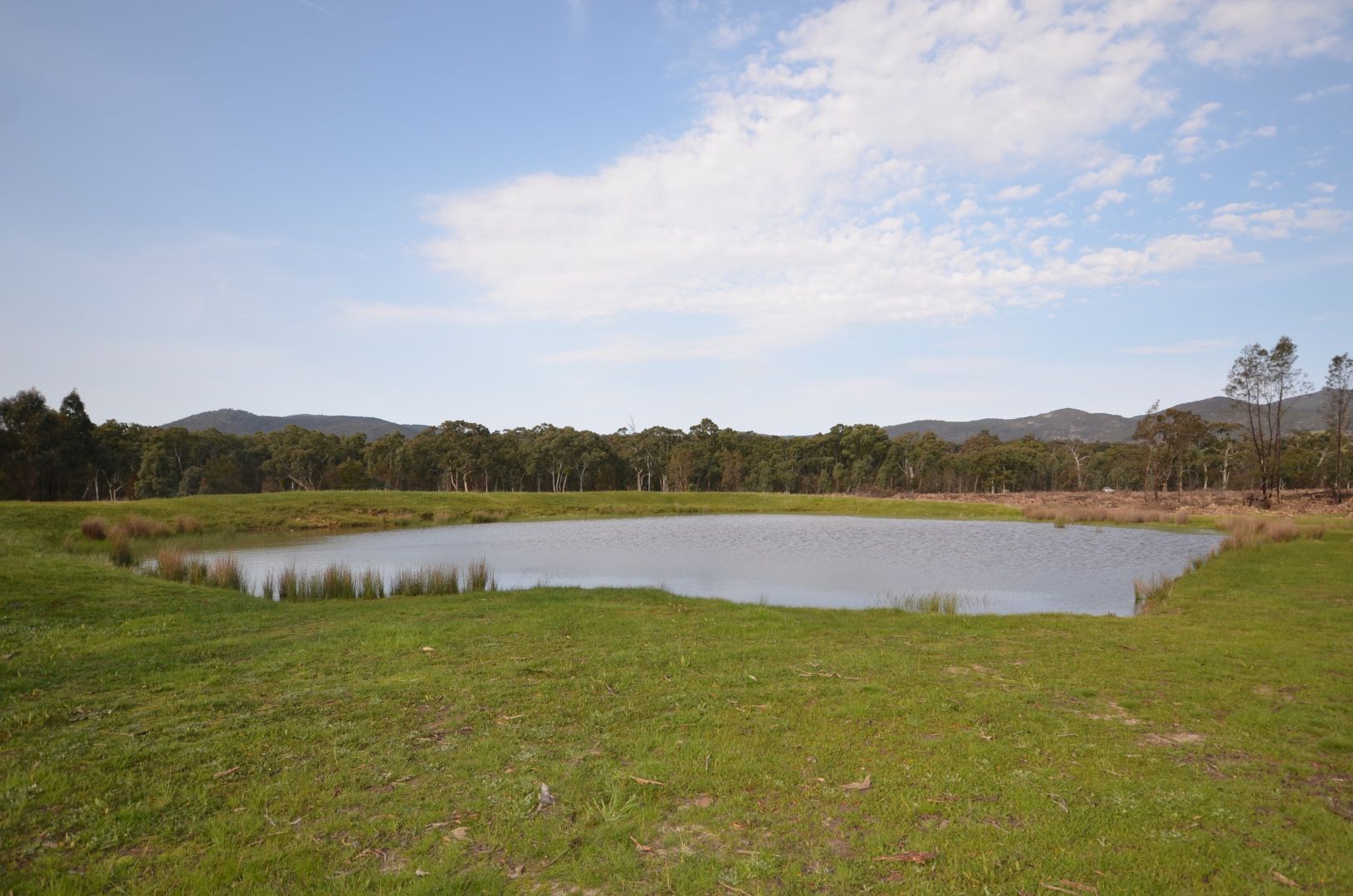 Pilgrim South Buangor - Ben Nevis Road, Warrak VIC 3377, Image 1