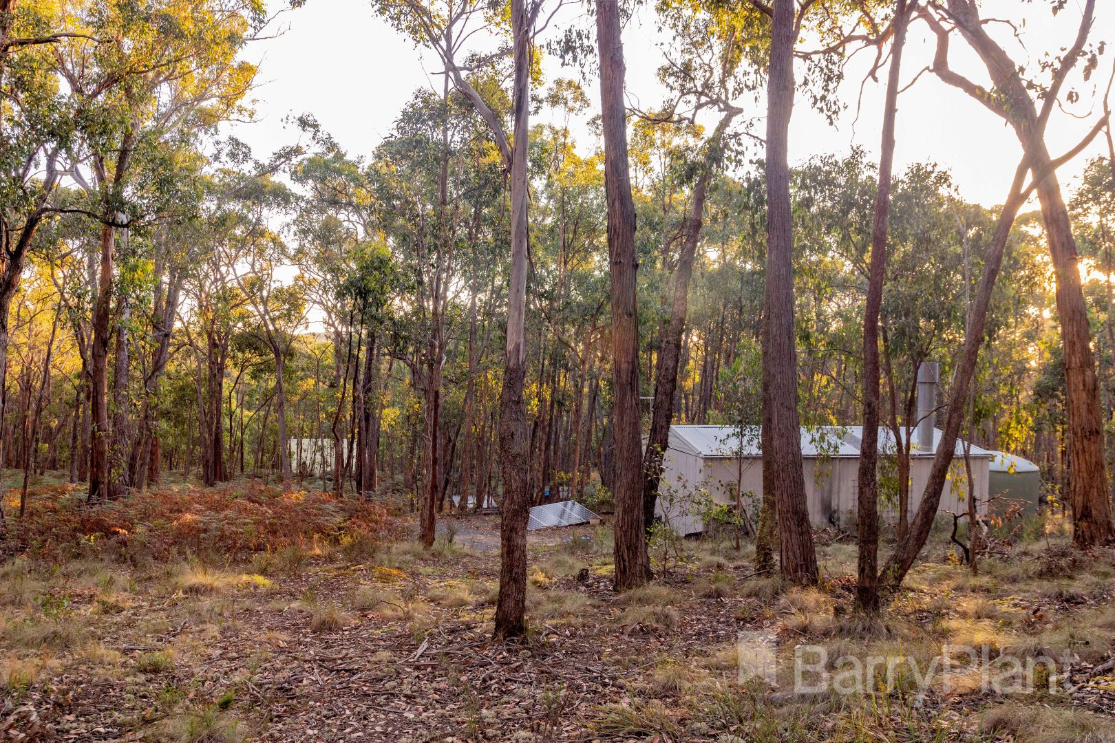 743 Pittong-Snake Valley Road, Snake Valley VIC 3351, Image 2