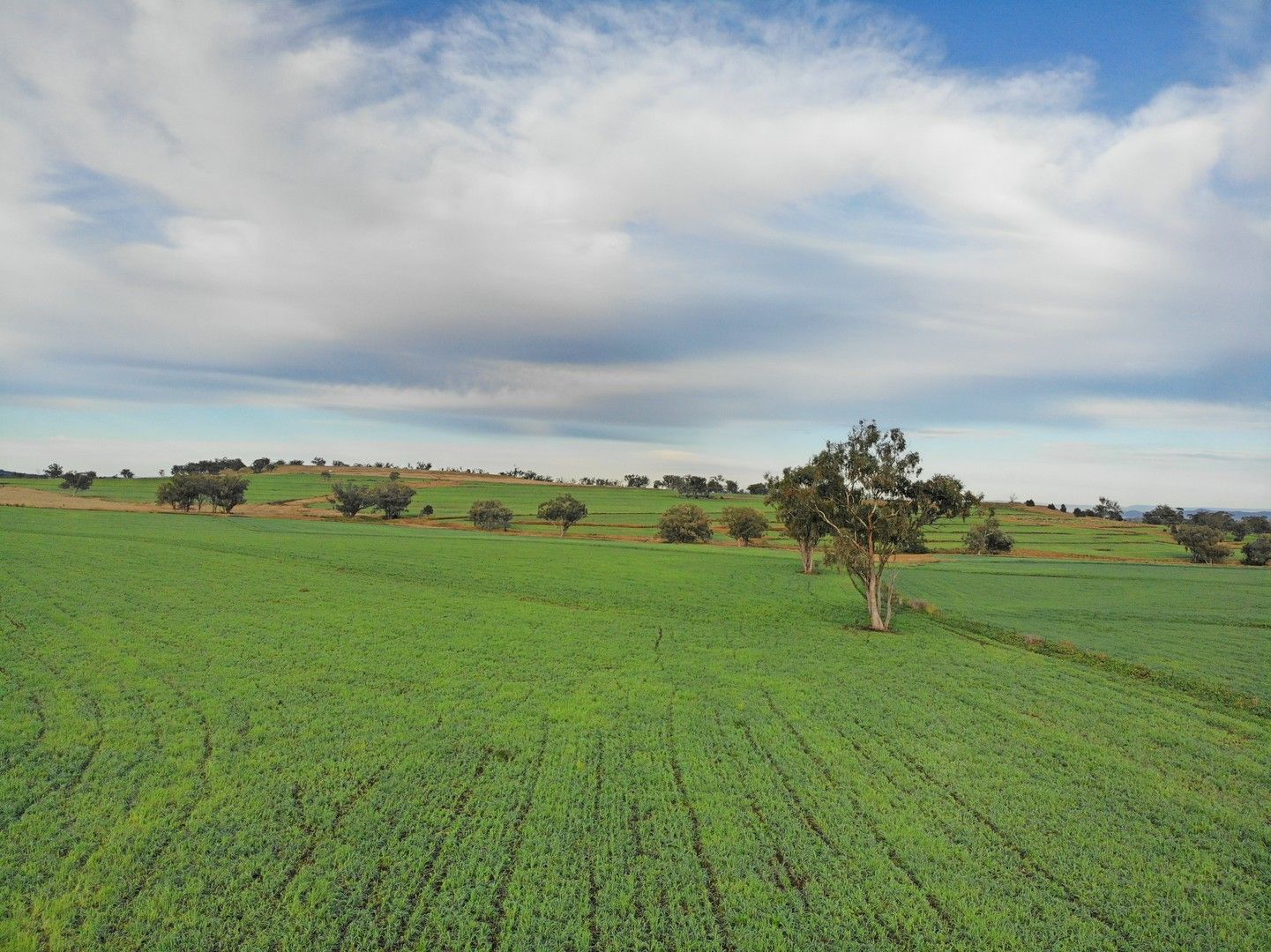 'Eden Hope Delungra Bypass Road, Delungra NSW 2403, Image 0