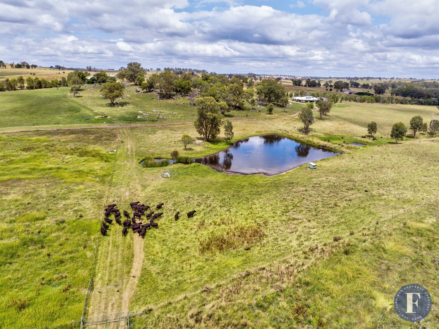 87 Mcbeths Road, Young NSW 2594, Image 1