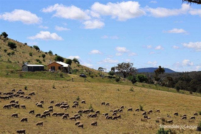 Picture of 469 Boundary Gully Road, YANDOIT HILLS VIC 3461