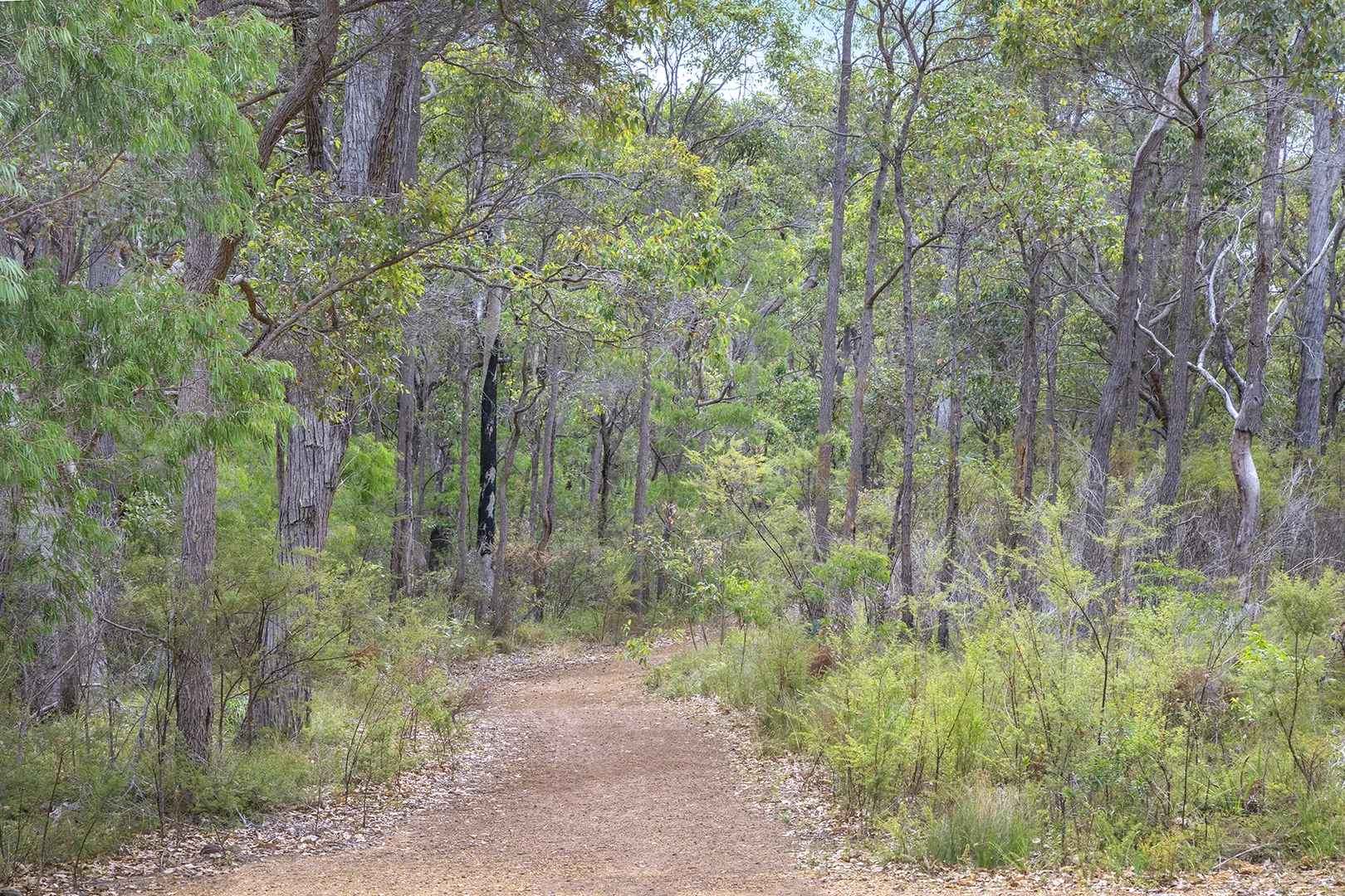 Image 8