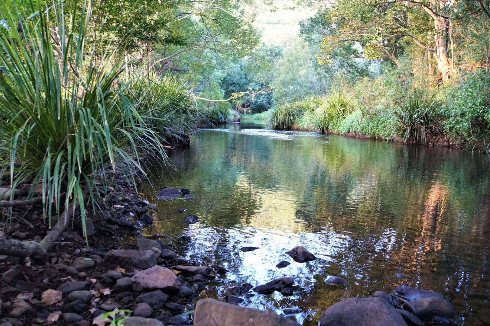 Tintenbar NSW 2478, Image 2