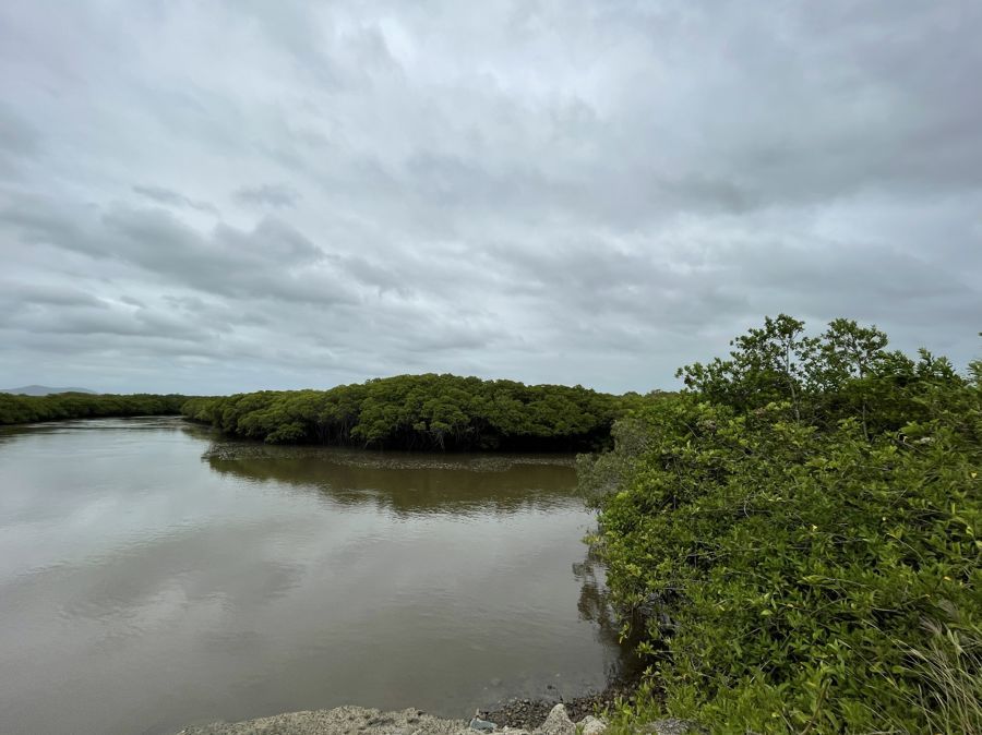 87d Apsley Way, Andergrove QLD 4740 House For Rent Domain