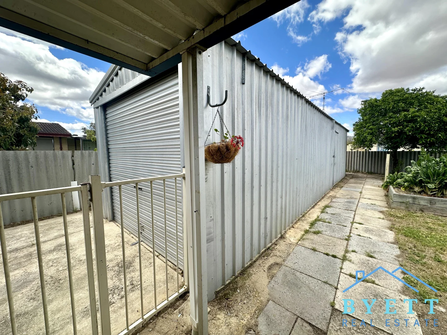 Image 19
