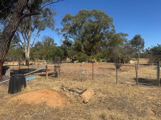 Image 10