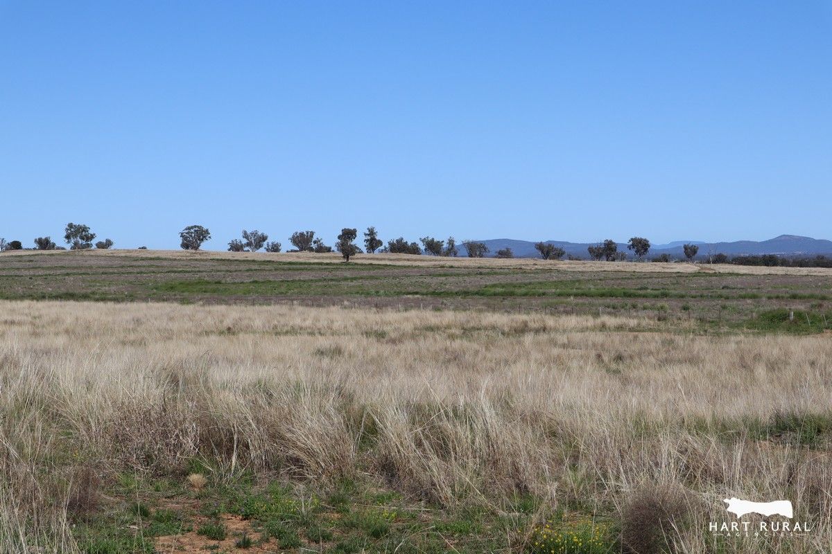 1926 Rushes Creek Road, Manilla NSW 2346, Image 1