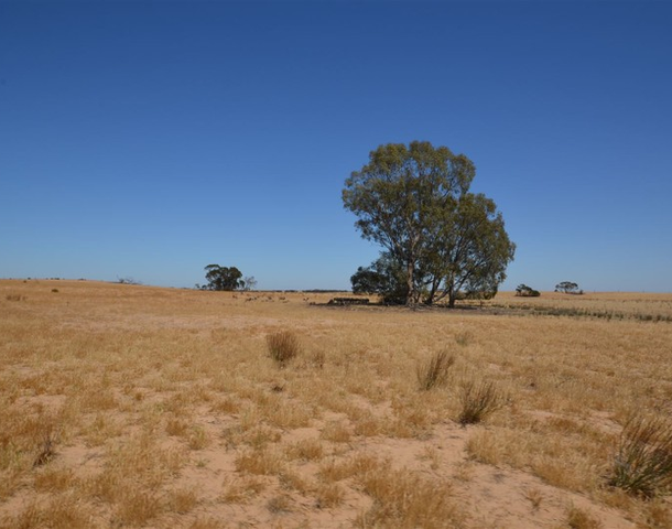 1840 Kulkami Road, Karoonda SA 5307