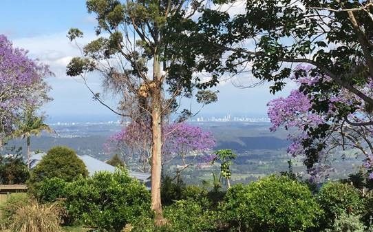 17-21 Cliff Way, Tamborine Mountain QLD 4272, Image 2