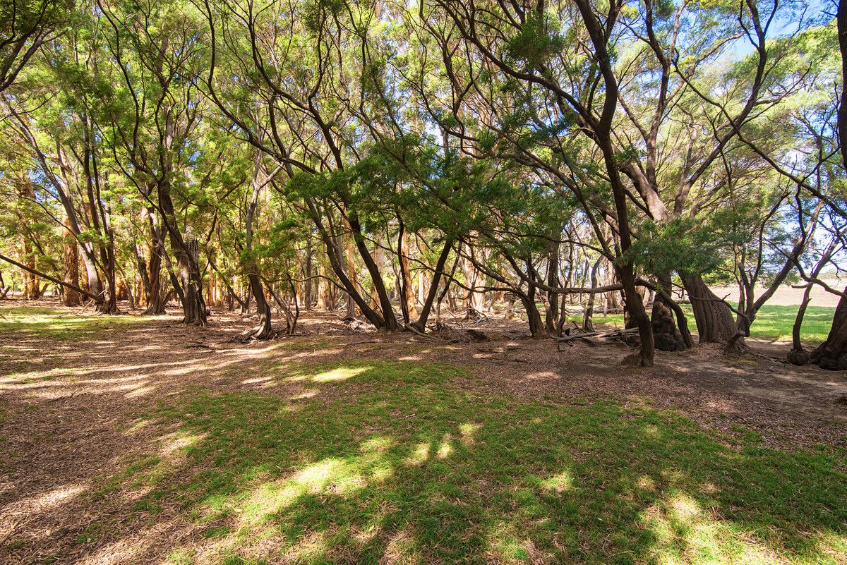 Lot 1629 East Calgardup Road, Witchcliffe WA 6286, Image 0