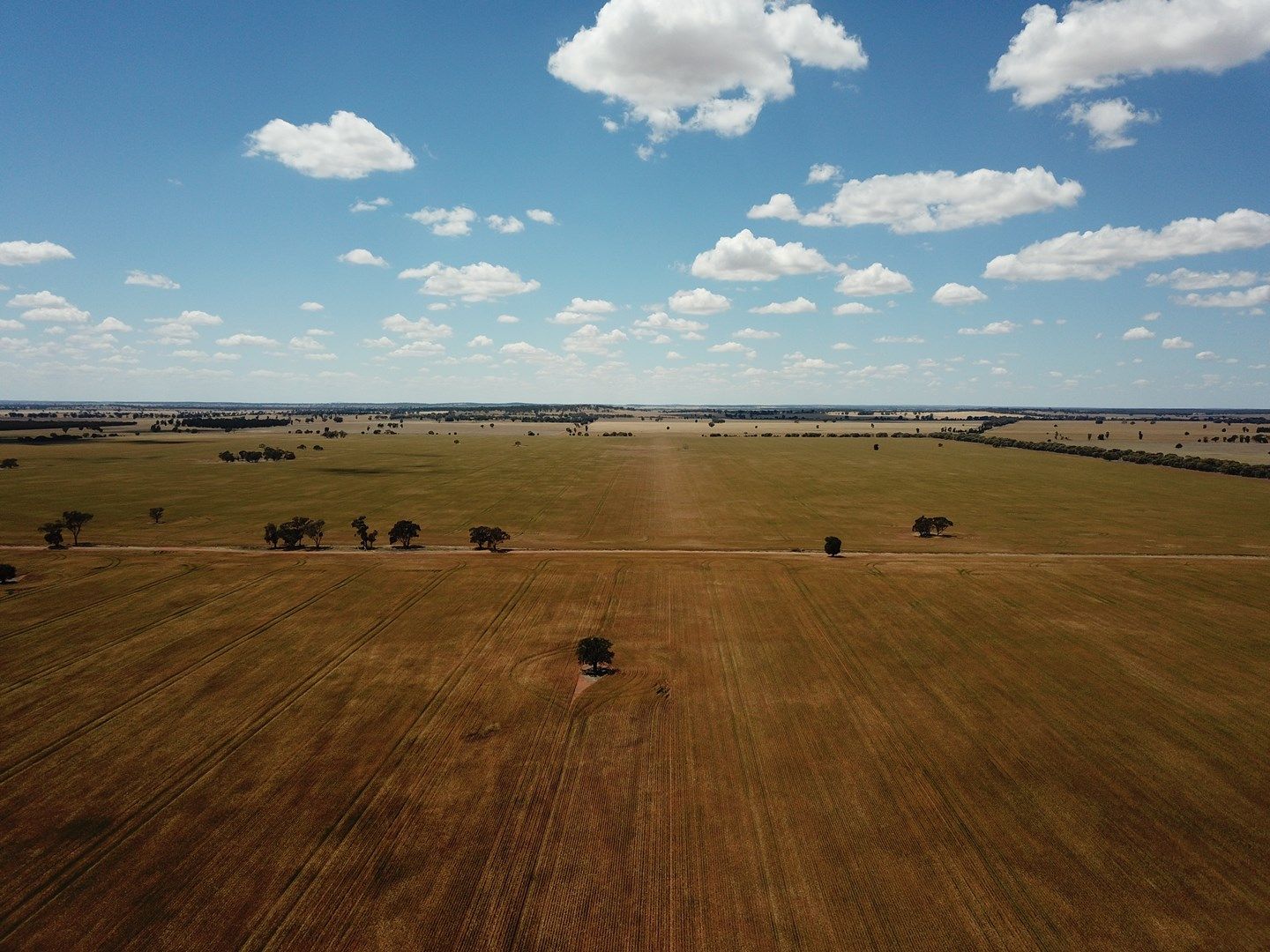 - 'Kolkibertoo', West Wyalong NSW 2671, Image 0