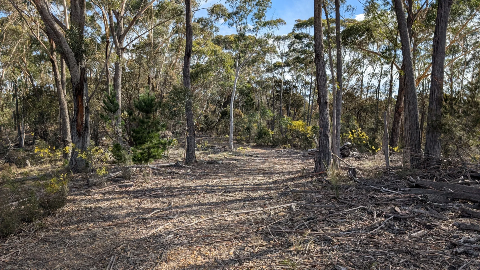 Image 8