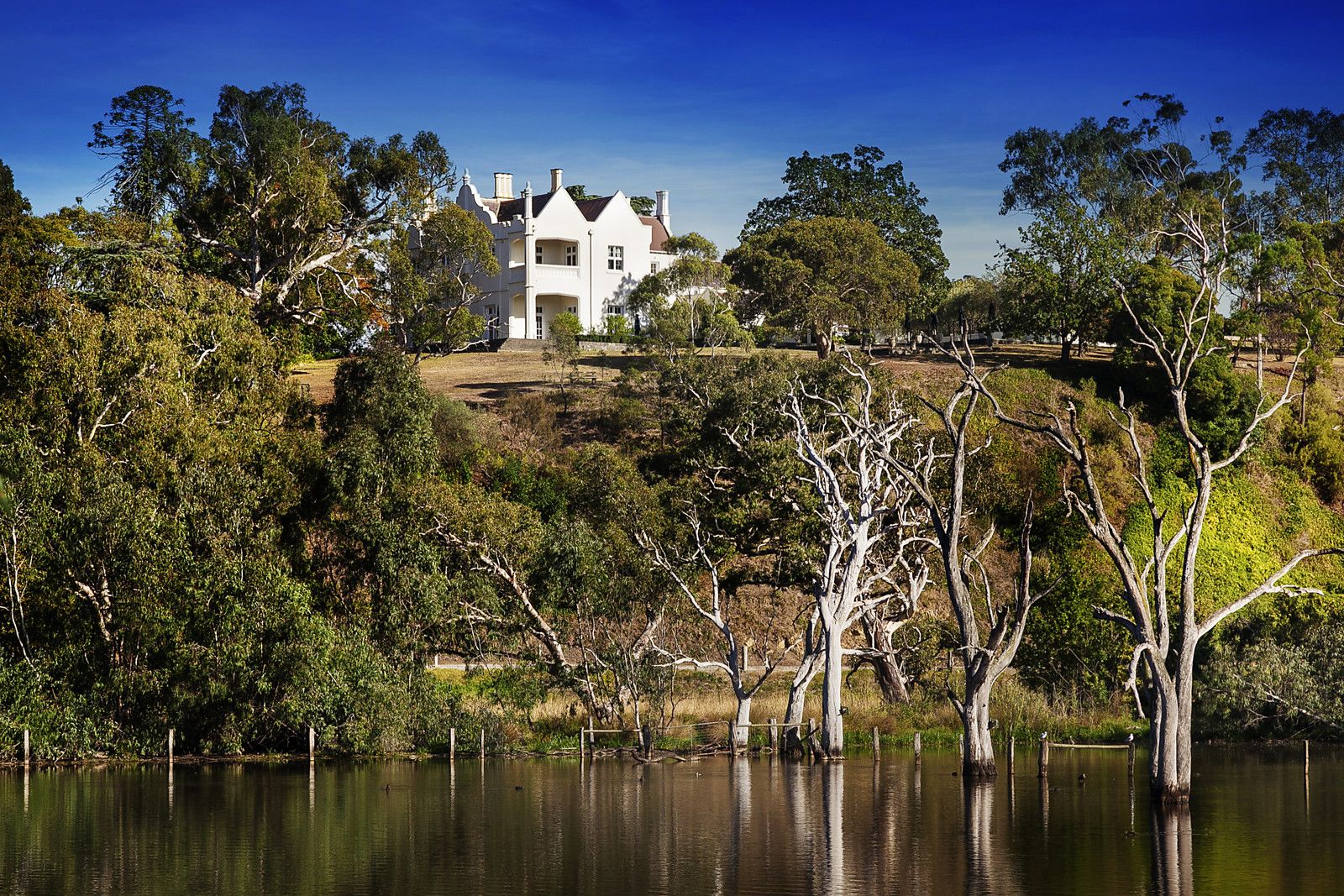 BANYULE HOMESTEAD 60 Buckingham Drive, Heidelberg VIC 3084, Image 2