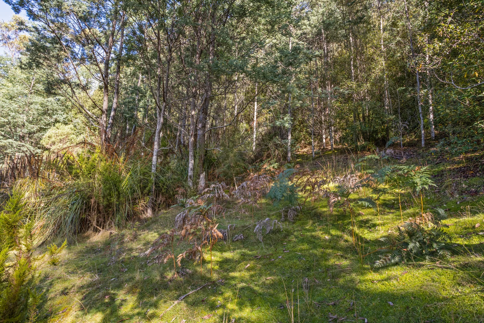 Image 15