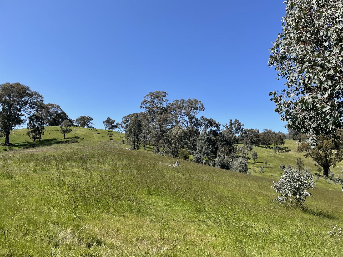 13B Cummins Road, Howes Creek Property History & Address Research