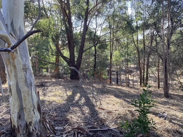 Image 9
