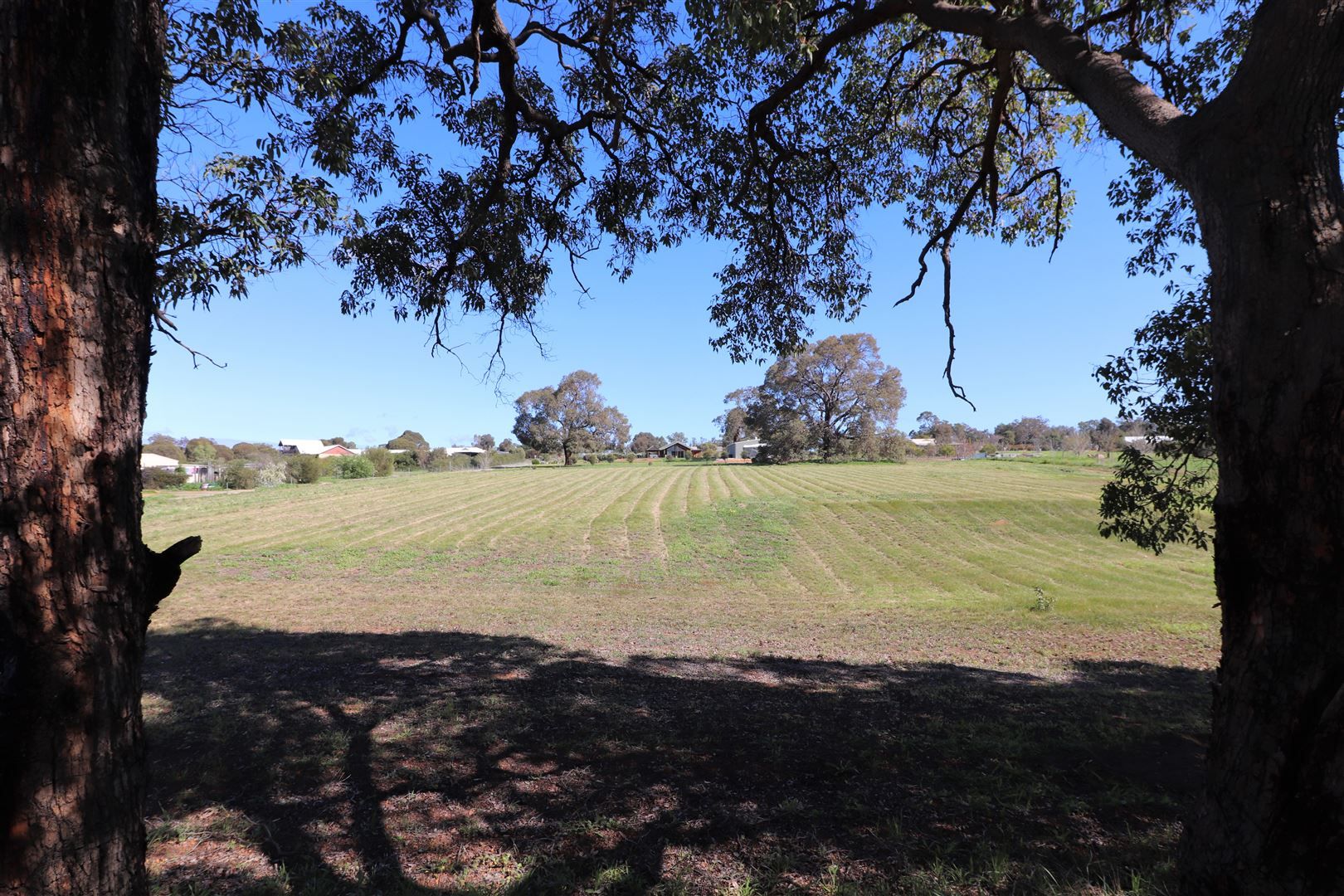 53 Cheriton Road, Gingi Property History & Address Research Domain