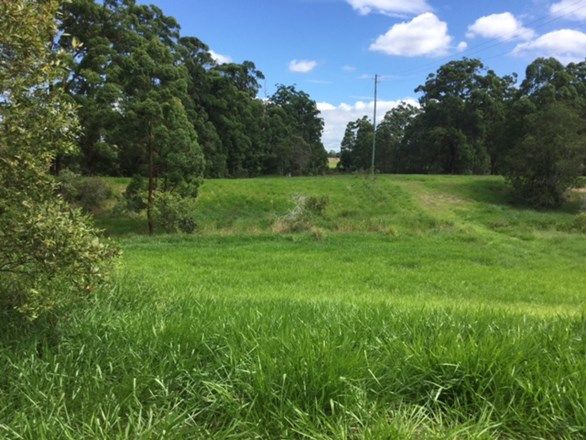 Proposed Lot 1 38 Thompson Rd, Beerwah QLD 4519, Image 2