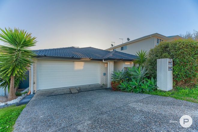 Picture of 13 Mistral Crescent, GRIFFIN QLD 4503