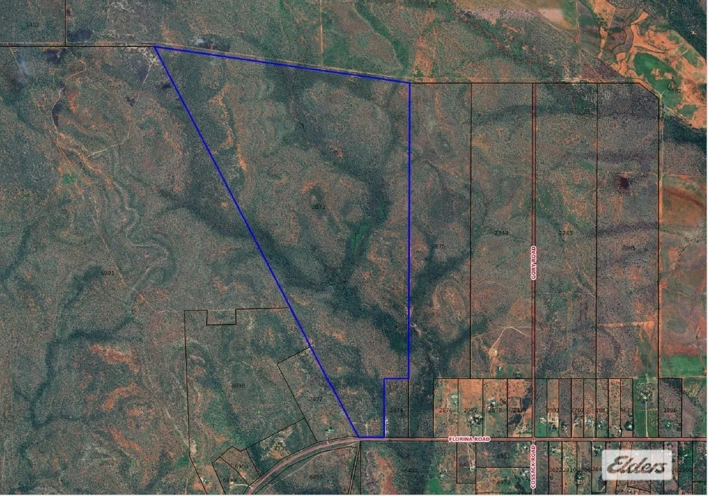 Image 9