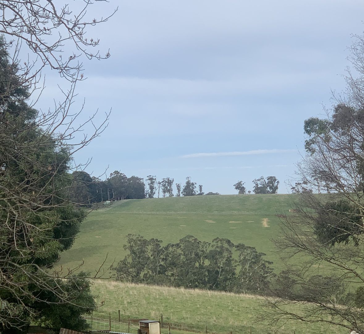 1315 Town Road, Gembrook VIC 3783 House For Rent Domain