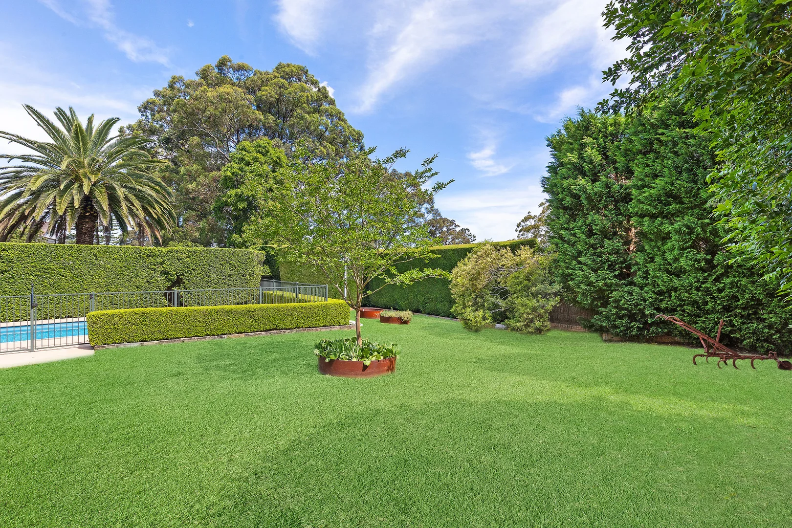 Image 10