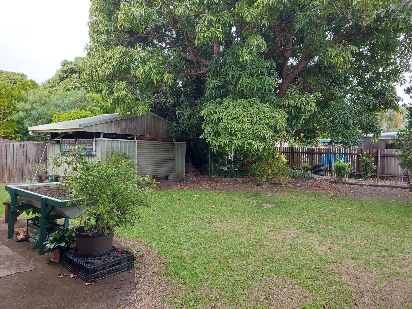 Image 13