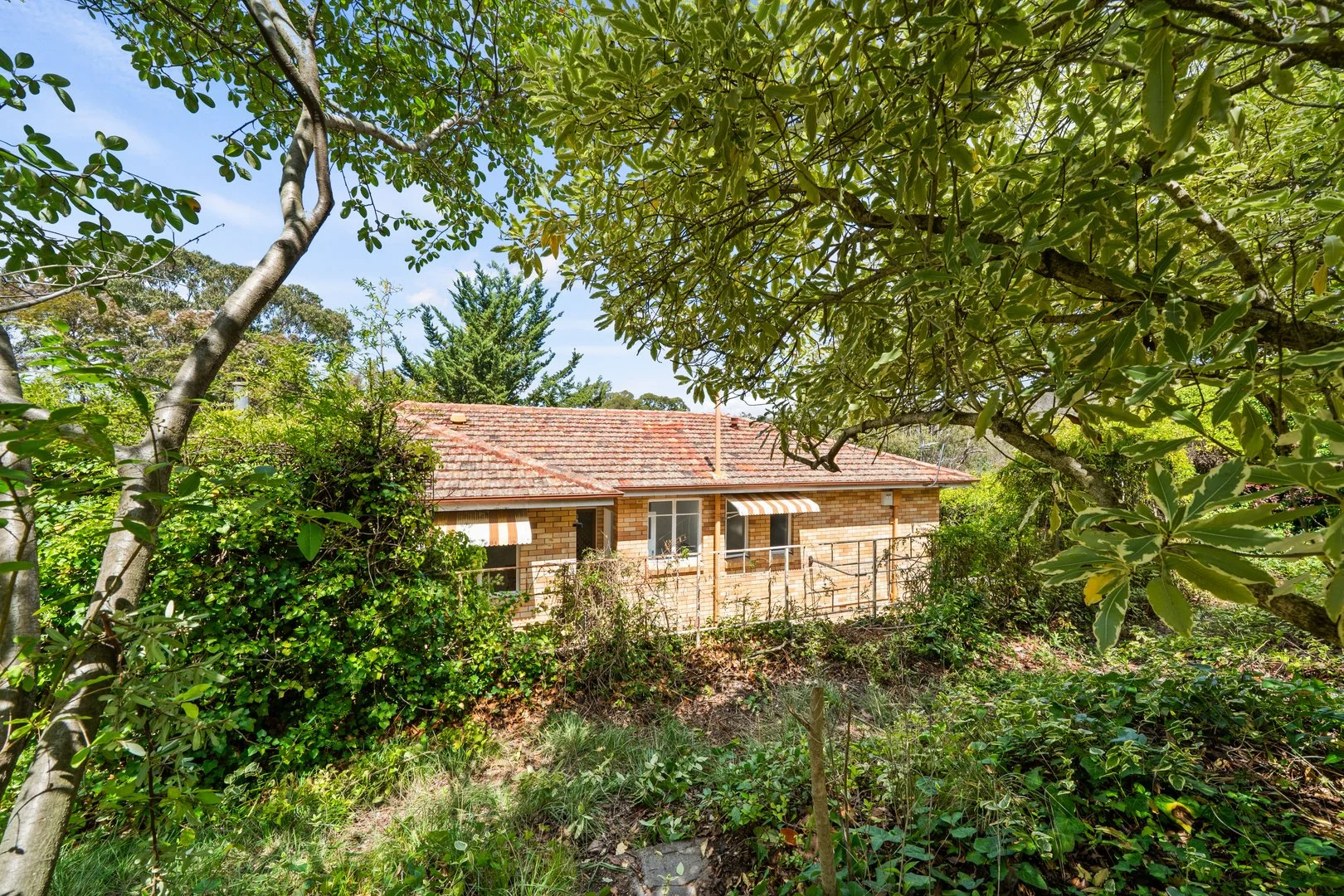 Additional image 25 of 14 Bauhinia Street, O'Connor ACT 2602