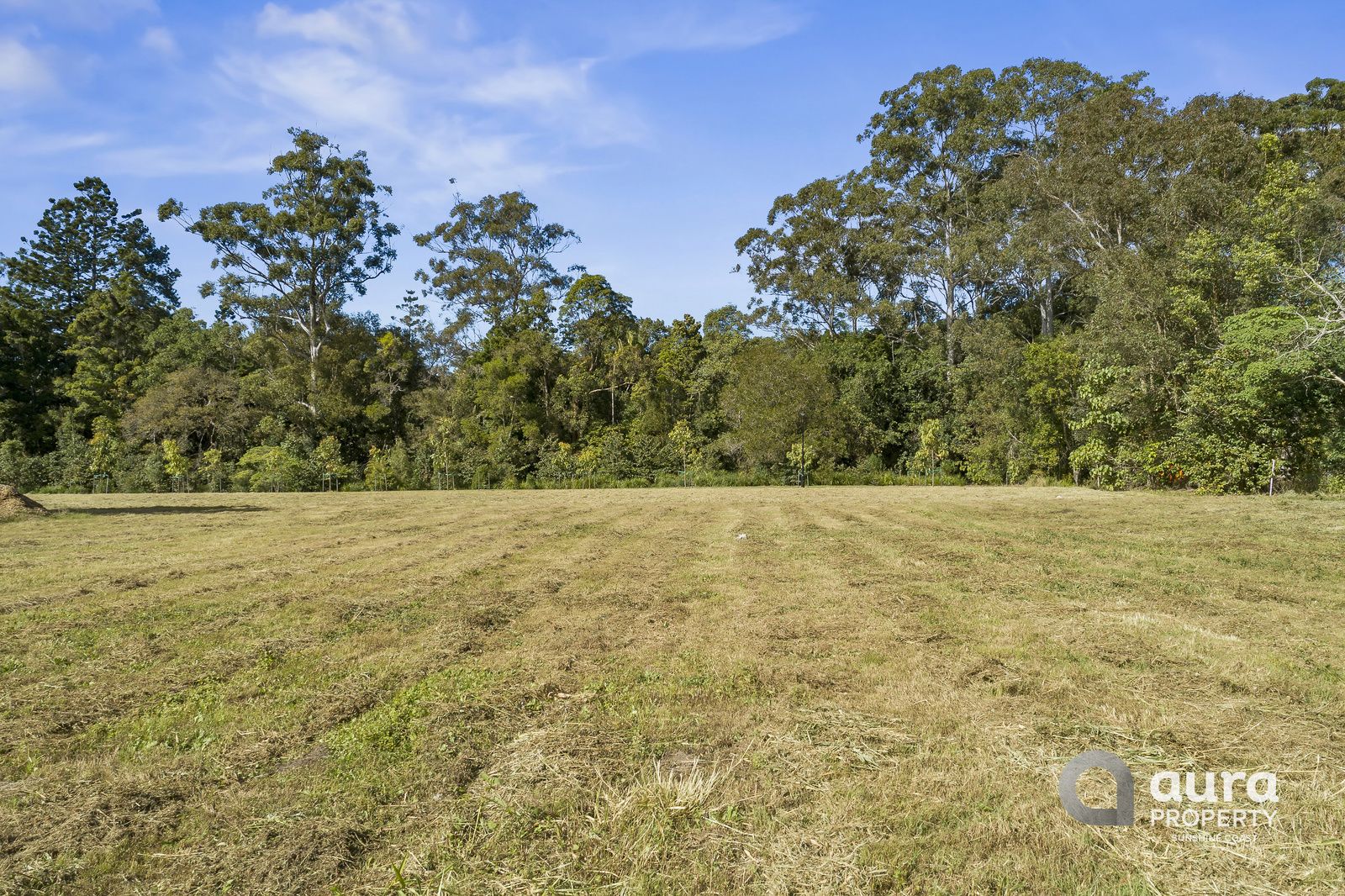 12 Kensington Lane, Tanawha QLD 4556, Image 2