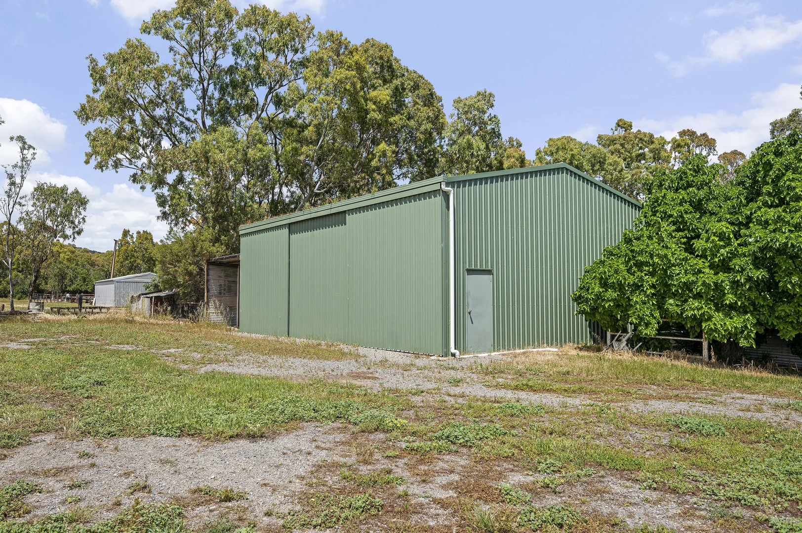 Image 8