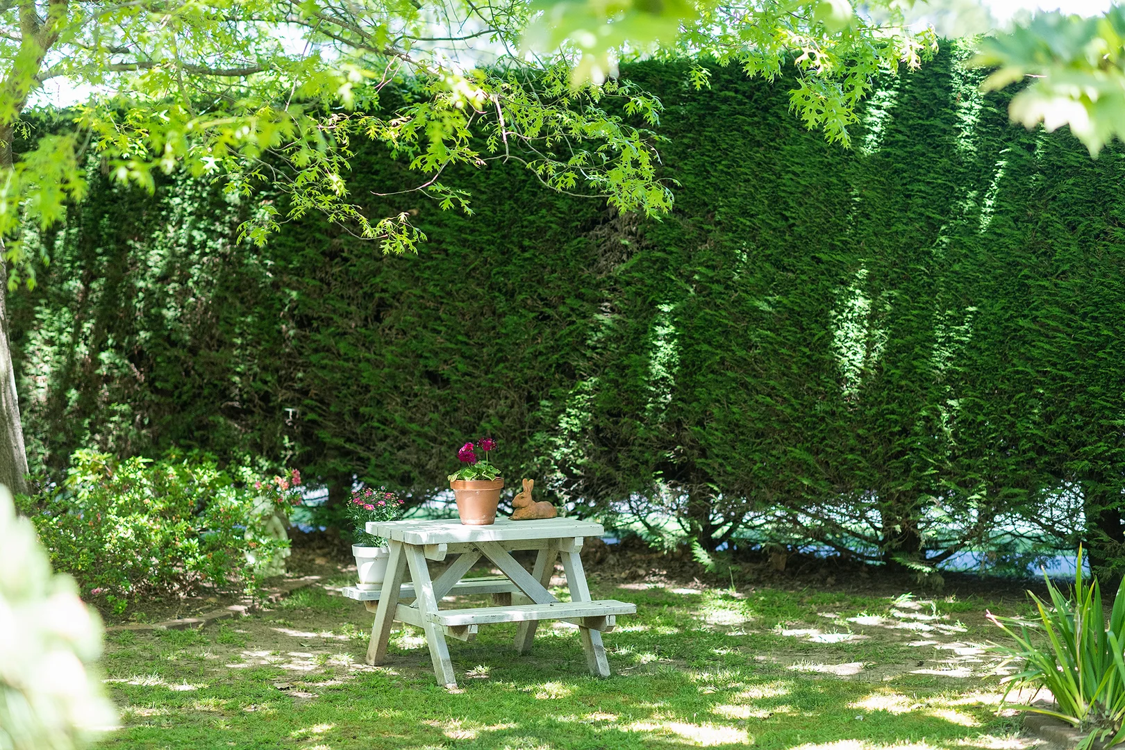 Image 15
