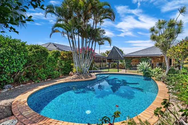 Picture of 10 Gladiolus Court, HOLLYWELL QLD 4216
