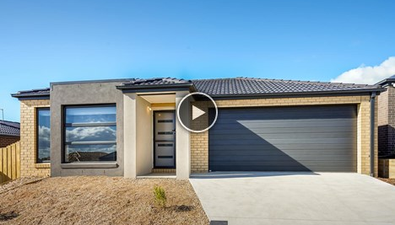 Picture of 55 Kelpie Boulevard, CURLEWIS VIC 3222