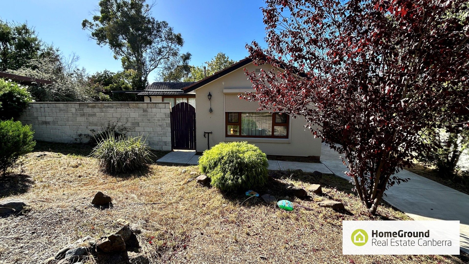 208 Dryandra Street, O'Connor ACT 2602 House For Rent Domain