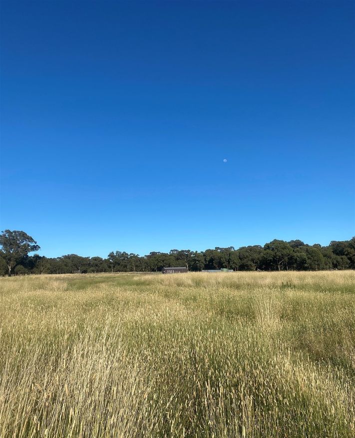 Vacant land in 35 TOUT PLACE, YOUNG NSW, 2594