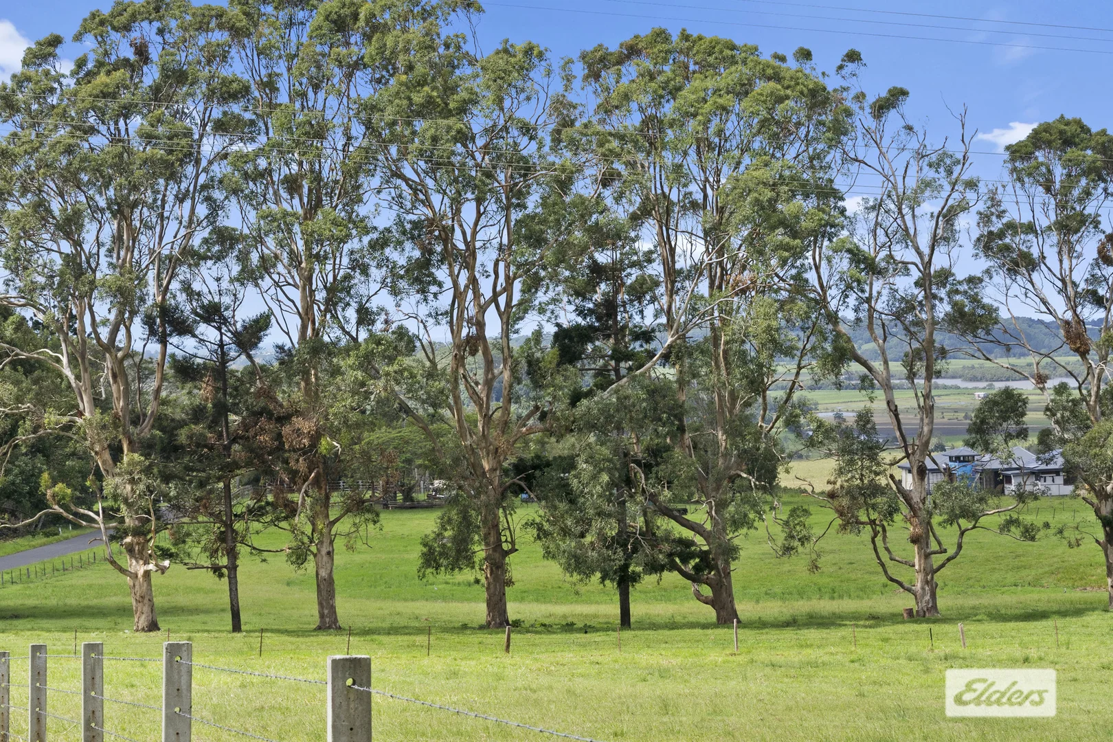 Image 21