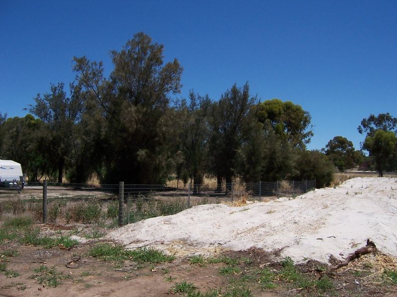 Lot 249 Ventnor Street, Wagin WA 6315, Image 2