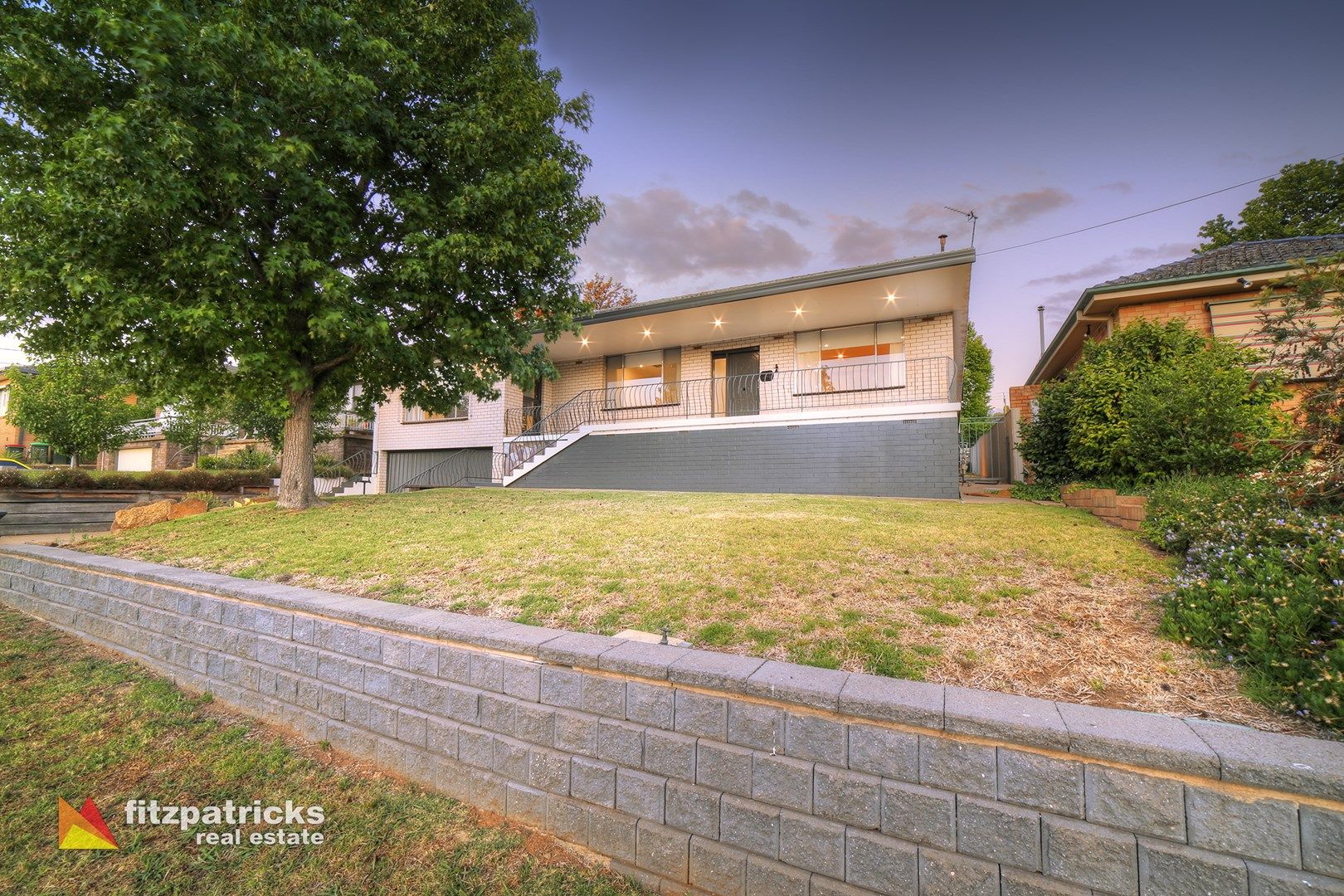 24 White Avenue, Kooringal NSW 2650, Image 1