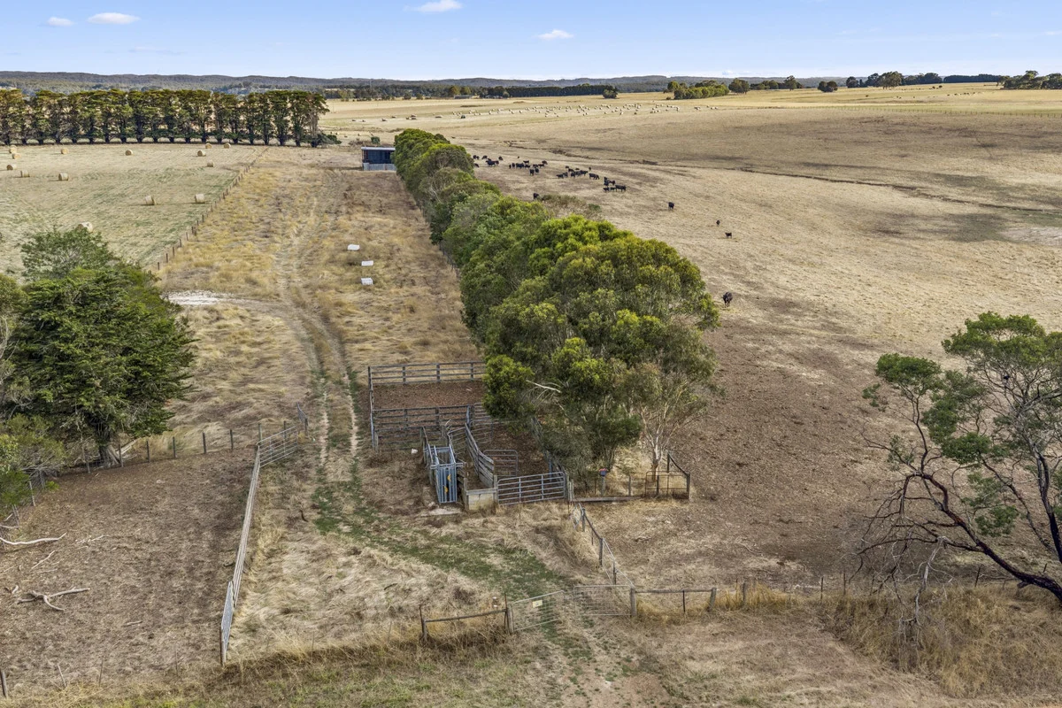 Additional image 15 of 55 Wineshanty Road, Barwon Downs VIC 3243