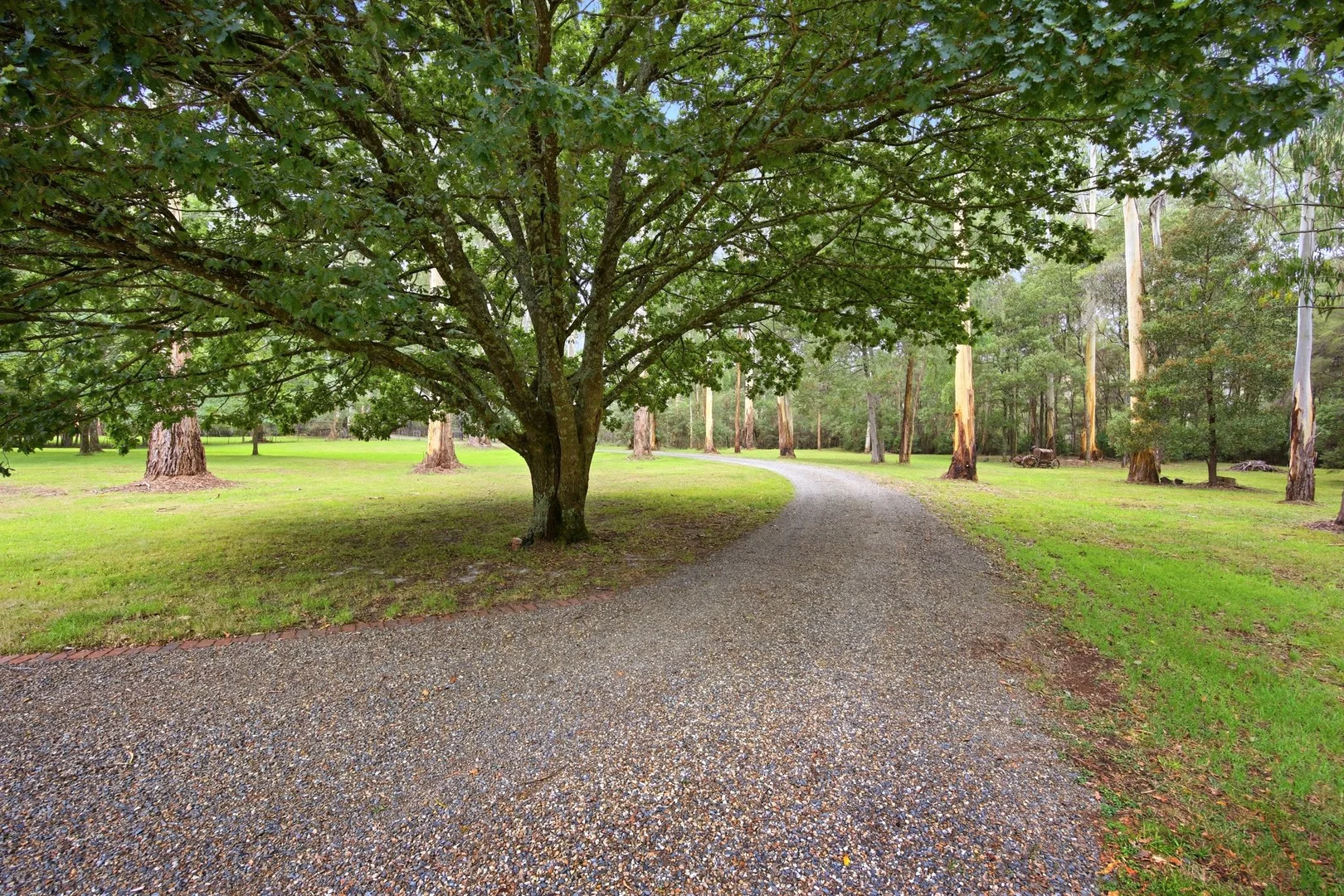 Additional image 29 of 2055 Woods Point Road, Reefton VIC 3799