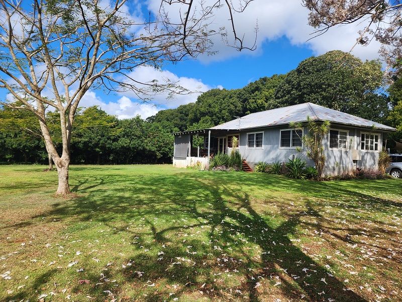 250 Dalwood Road, Dalwood NSW 2477 House for Sale Domain