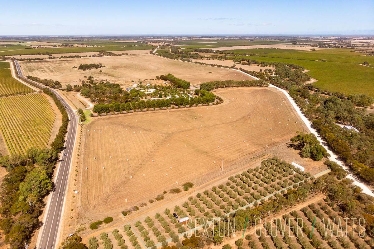 Lot 31 Angas Plains Road, Belvidere SA 5255, Image 2