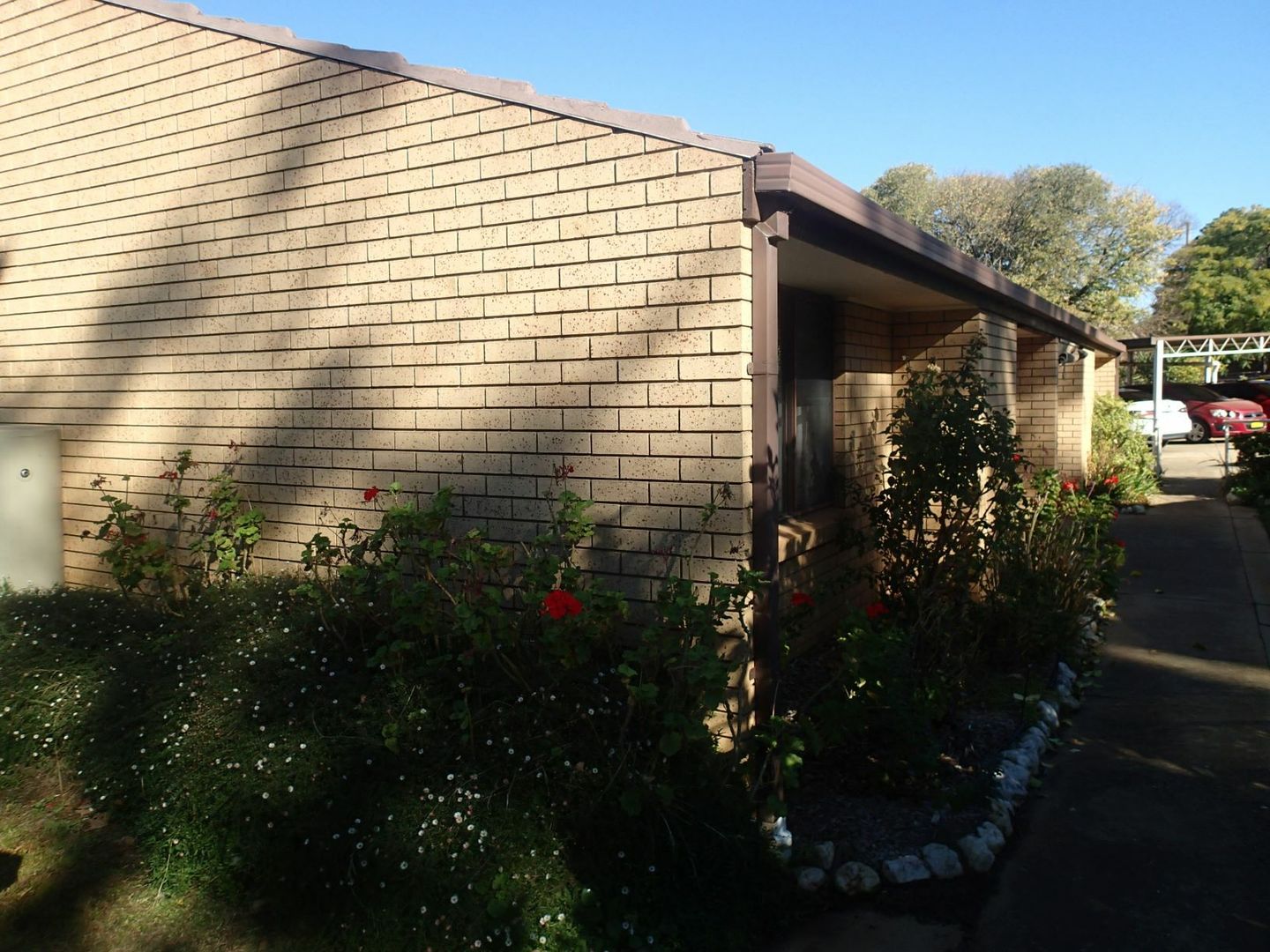 Unit 7/16 Parade Pl, Corowa NSW 2646 Apartment For Rent Domain