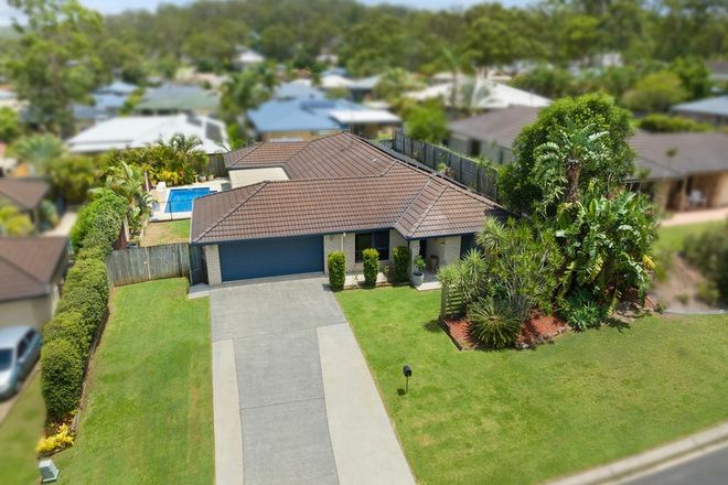 Picture of 6 Red Ash Court, MOUNT COTTON QLD 4165